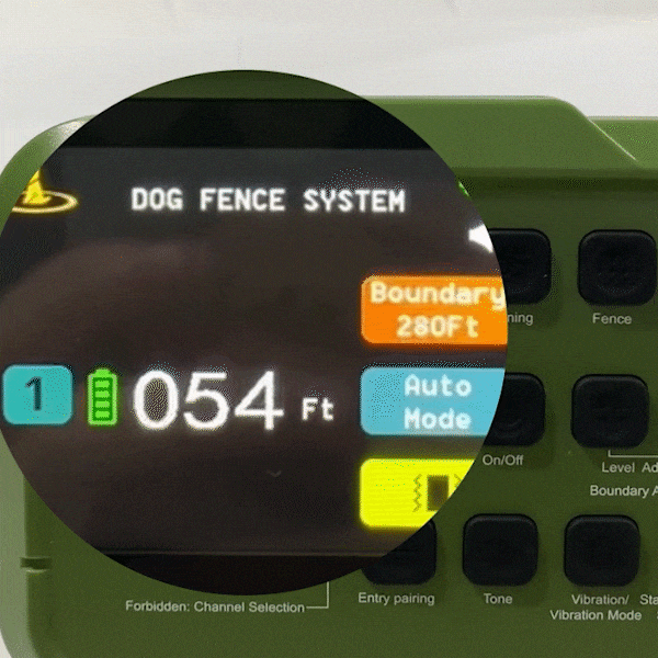 Real-time Display of Dog’s Distance