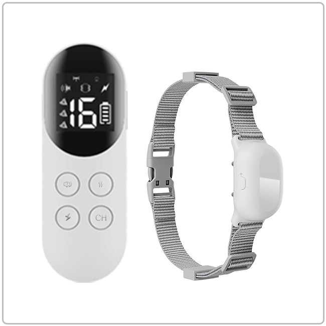 HeyPetLife Waterproof Remote Dog Training Collar T200