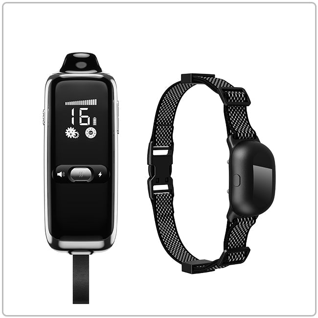 HeyPetLife Remote Dog Training Collar T300
