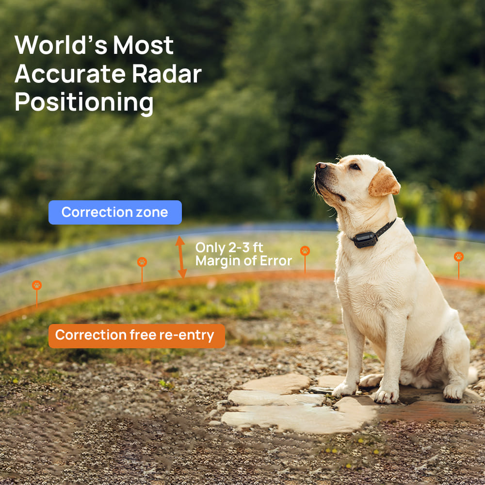 Remote Pet Training Collar Recommendations HeyPetLife Smart Wireless Collar 2025