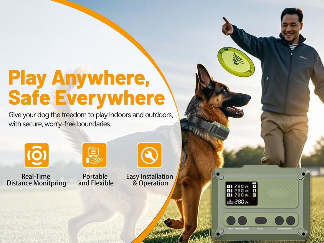 Are Wireless Dog Fences Safe for Pets?