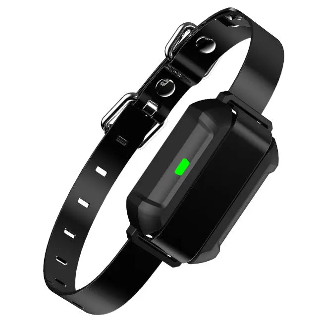 F900 Receiver Collar - PETHEY