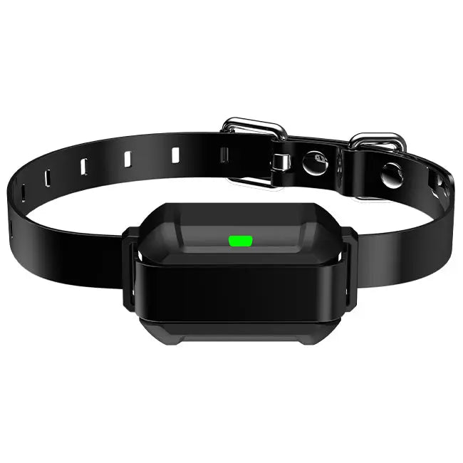 F900 Receiver Collar - PETHEY