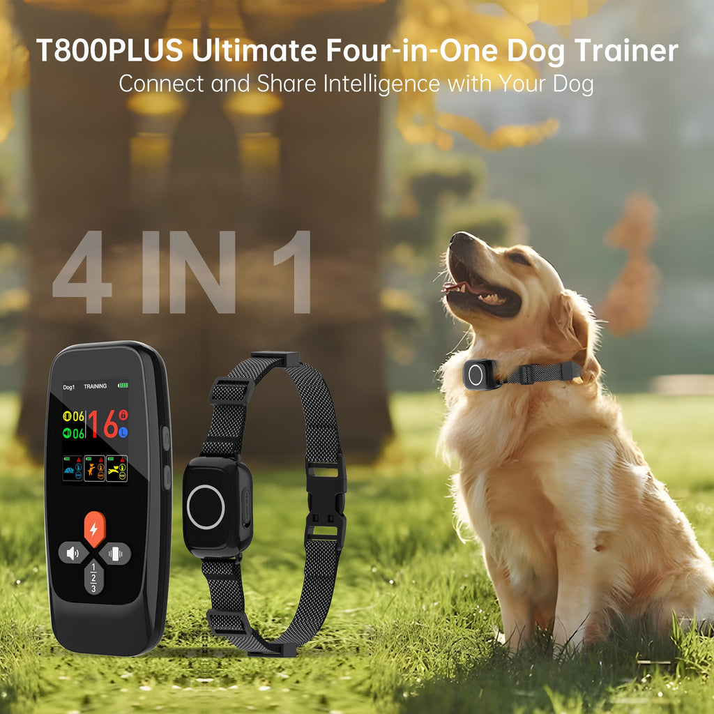 4-in-1 Remote Dog Training Collar T800Plus