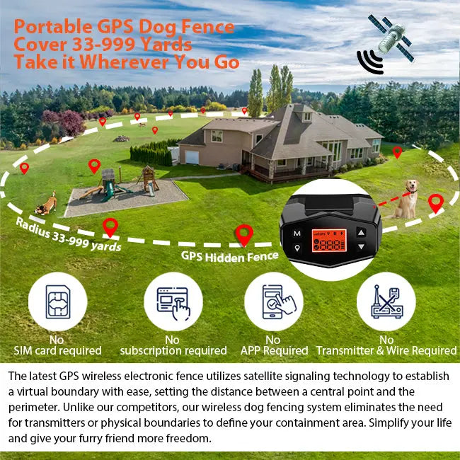 F800 Wireless Dog Fence - PETHEY