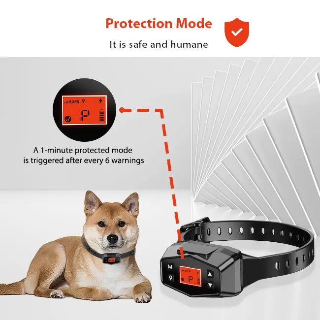 F800 Wireless Dog Fence - PETHEY