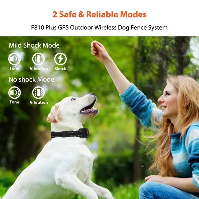 F810 Wireless Dog Fence correction type- PETHEY