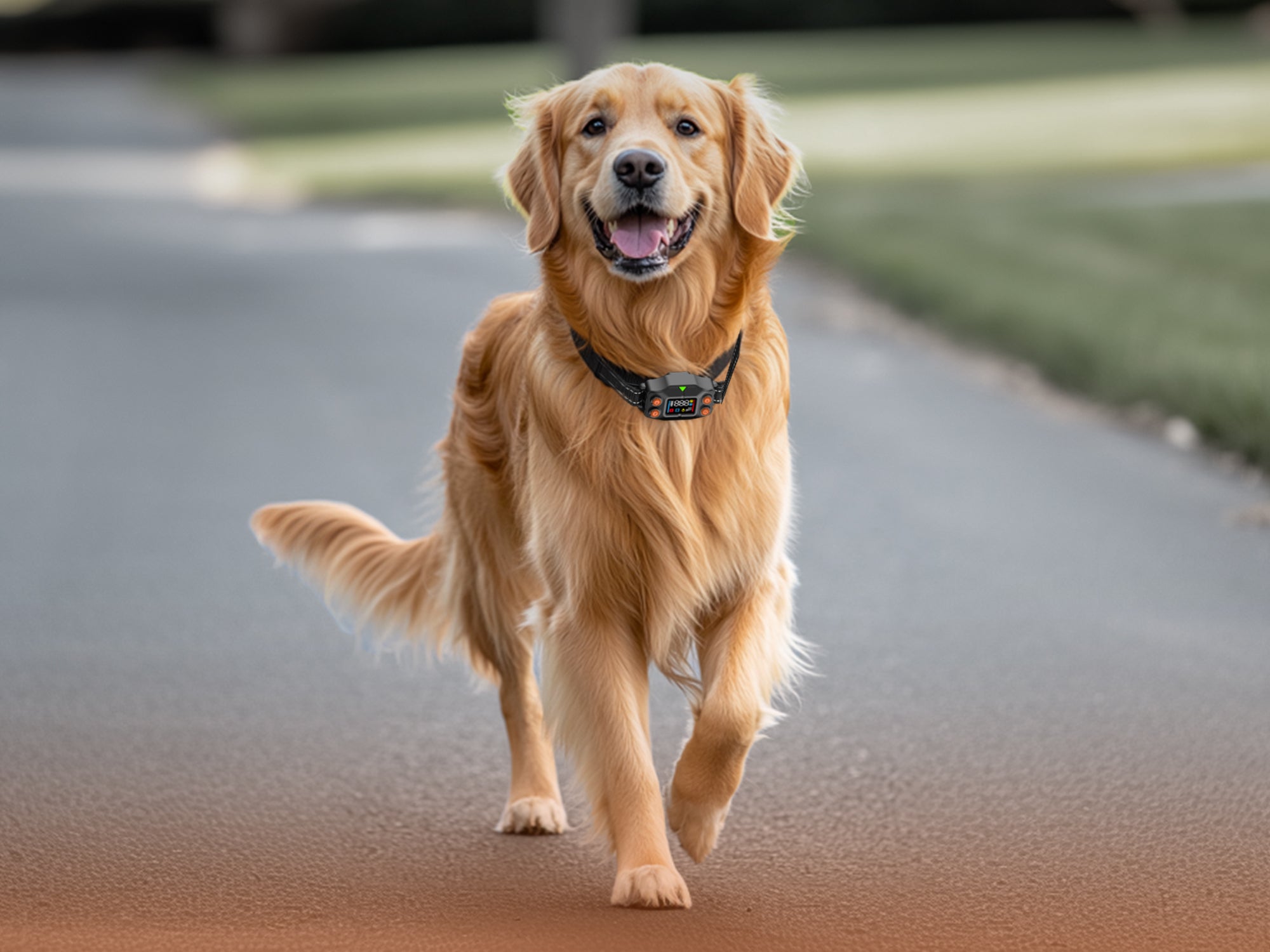 Customizable Warning Modes for Pet Safety