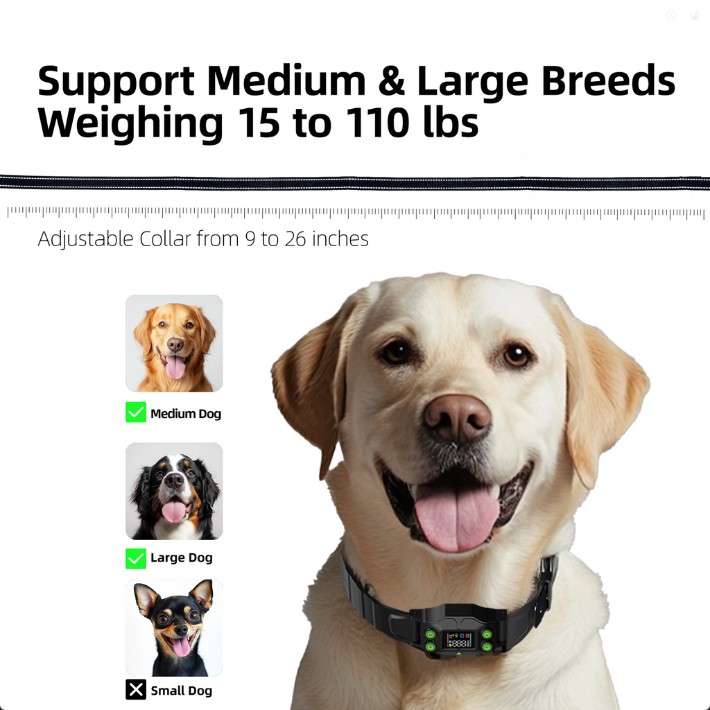 GPS Wireless Dog Fence F830Plus