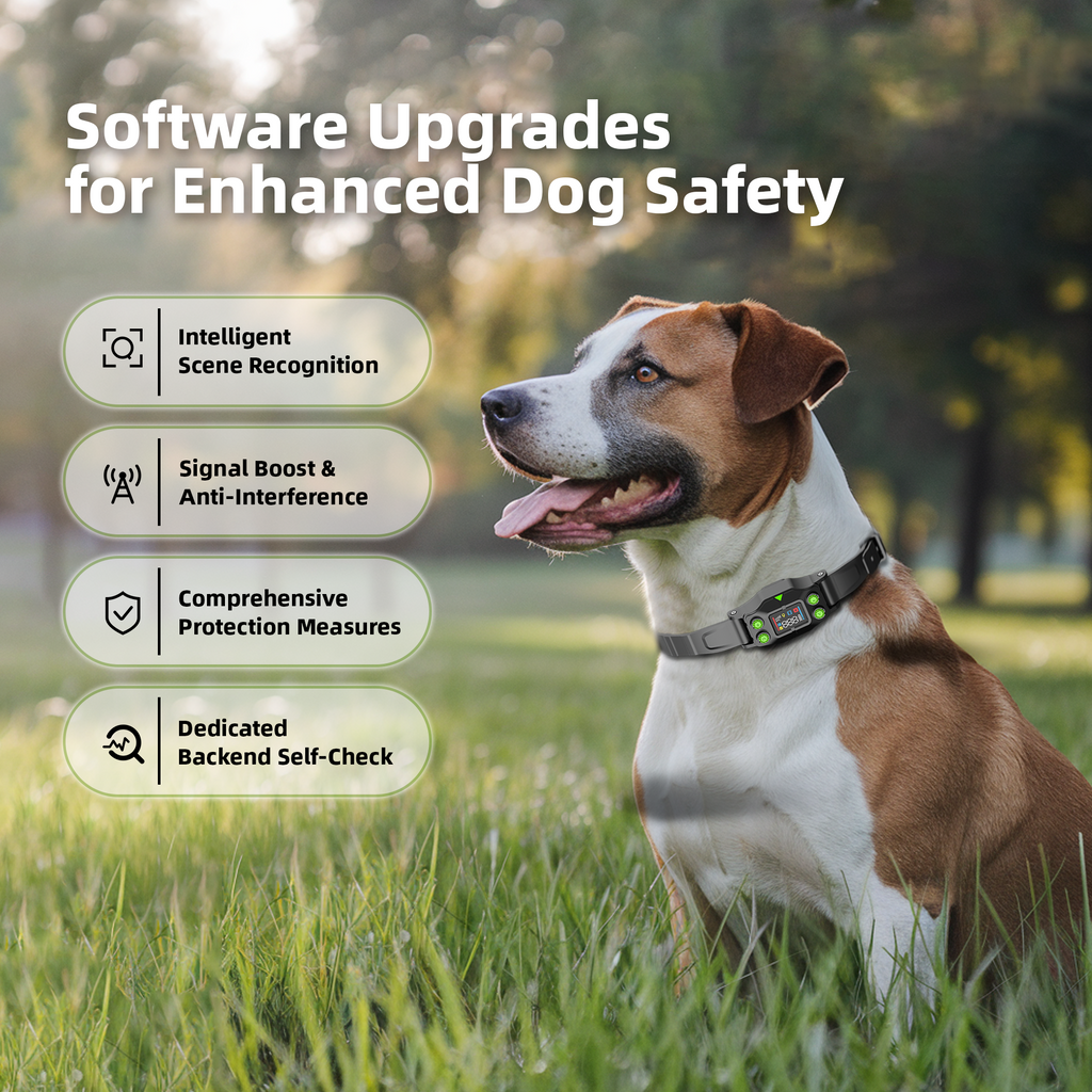 GPS Wireless Dog Fence F830Plus