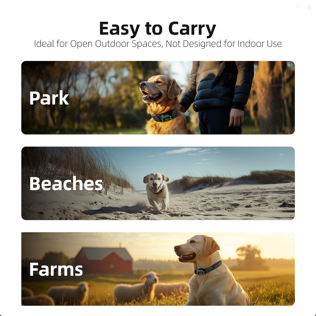 GPS Wireless Dog Fence F830Plus