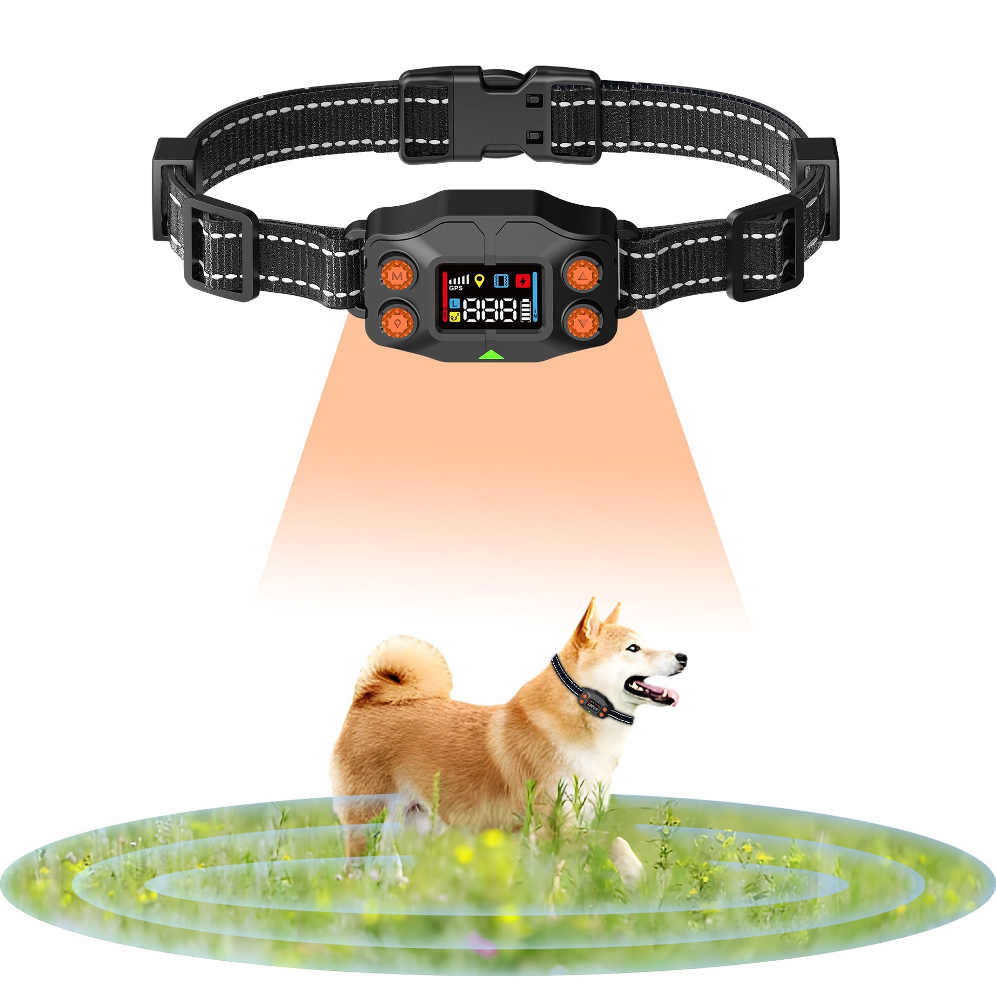 GPS Wireless Dog Fence F830