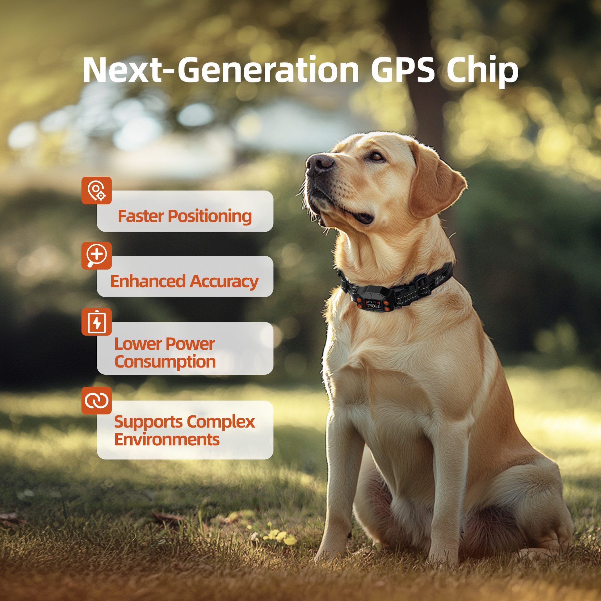 GPS Wireless Dog Fence F830