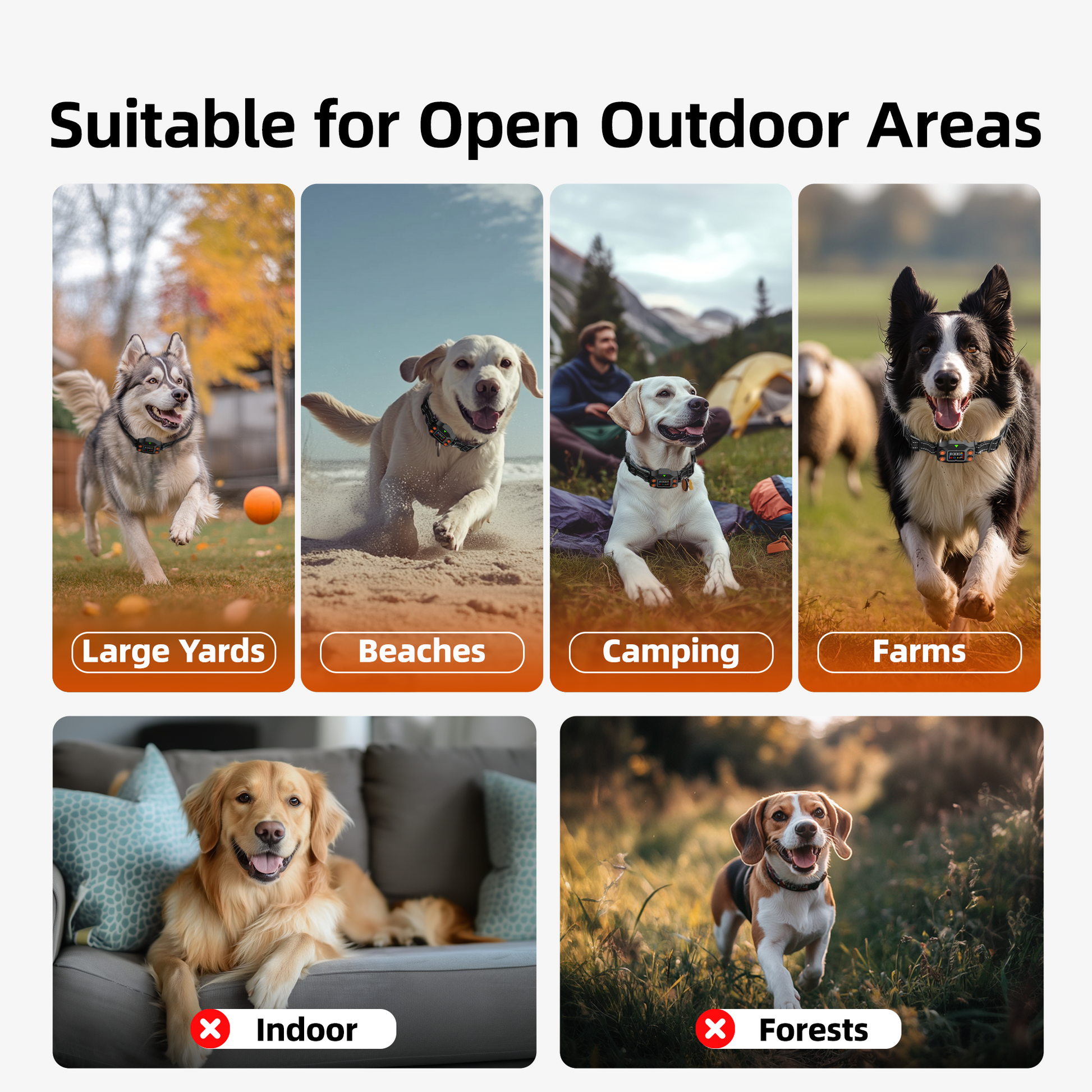 GPS Wireless Dog Fence F830