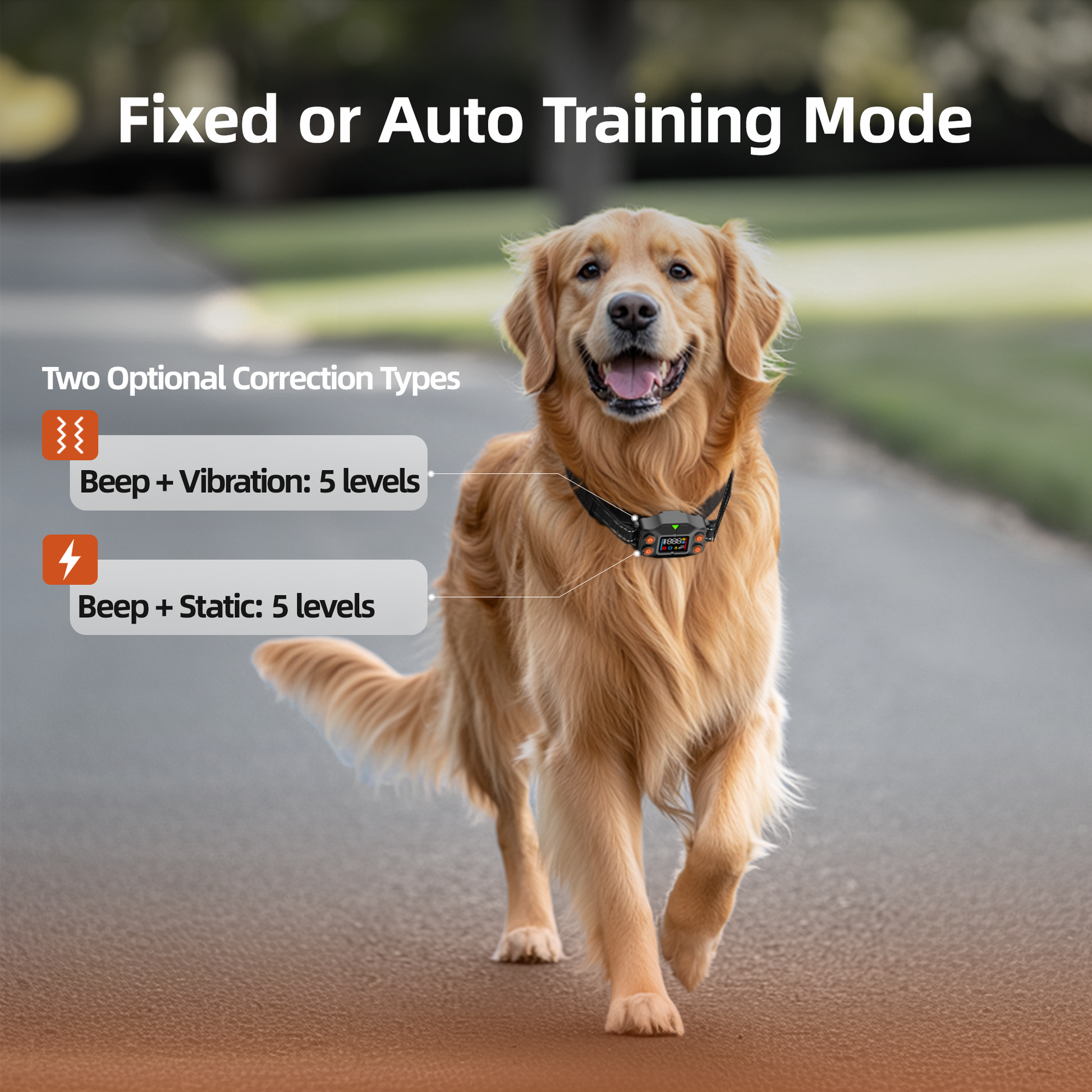 GPS Wireless Dog Fence F830