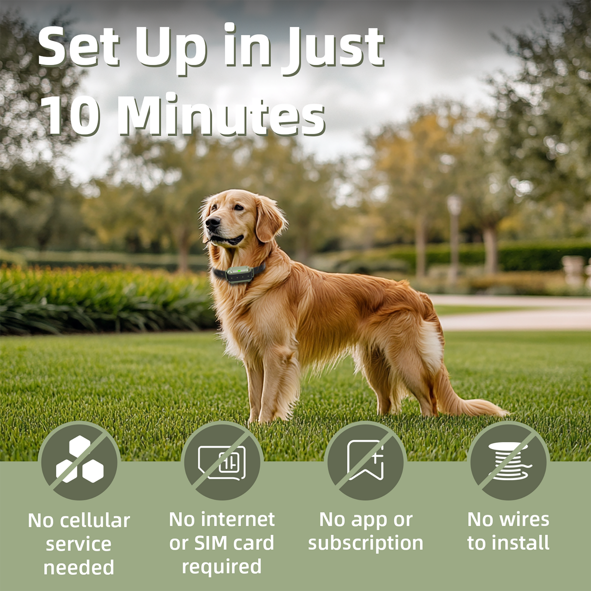 Wireless Dog Fence-F910