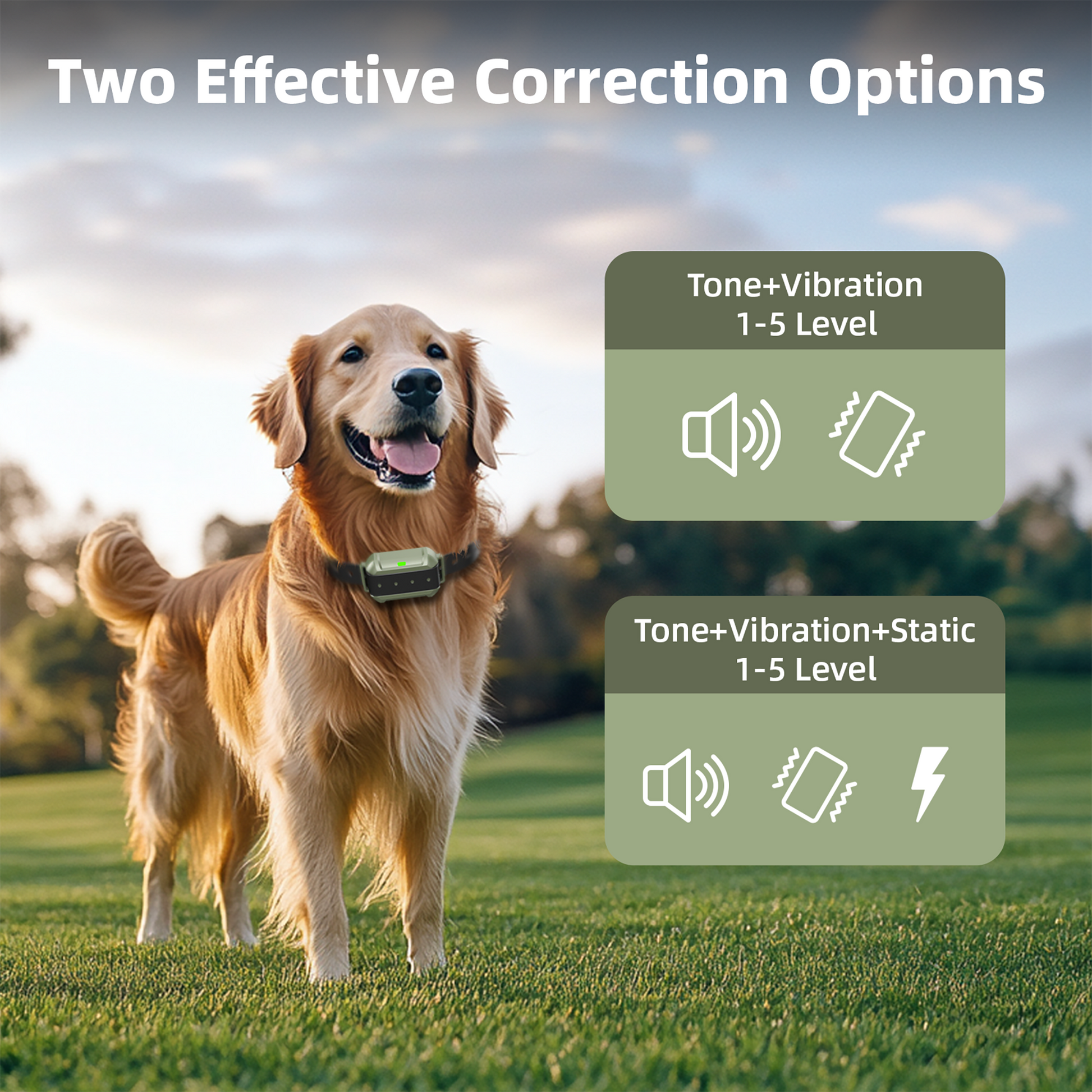 Wireless Dog Fence-F910