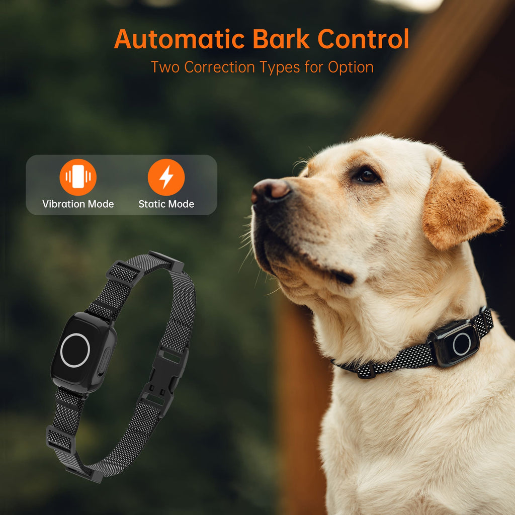 T800Plus 4-in-1 Remote Dog Training Collar