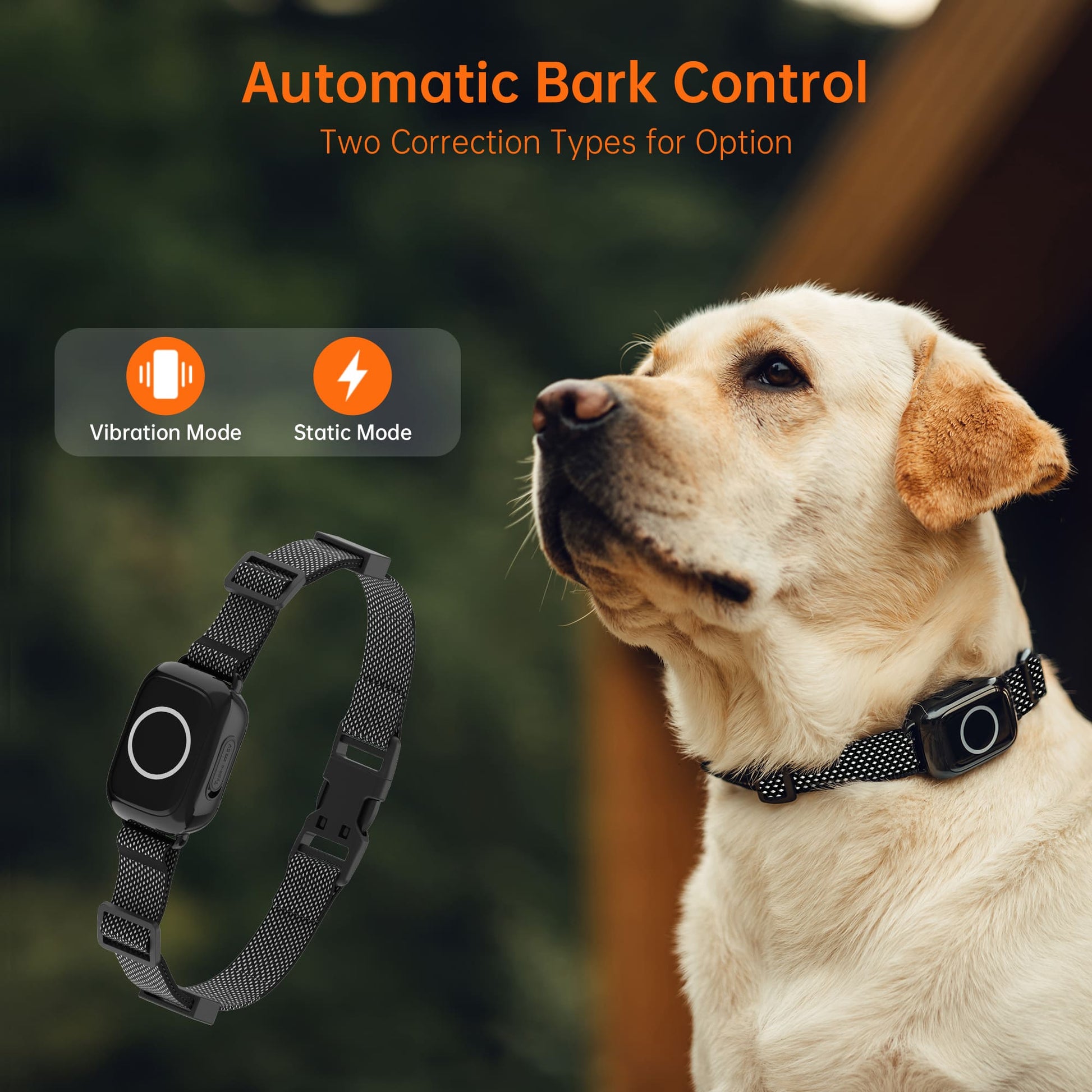 T800Plus 4-in-1 Remote Dog Training Collar