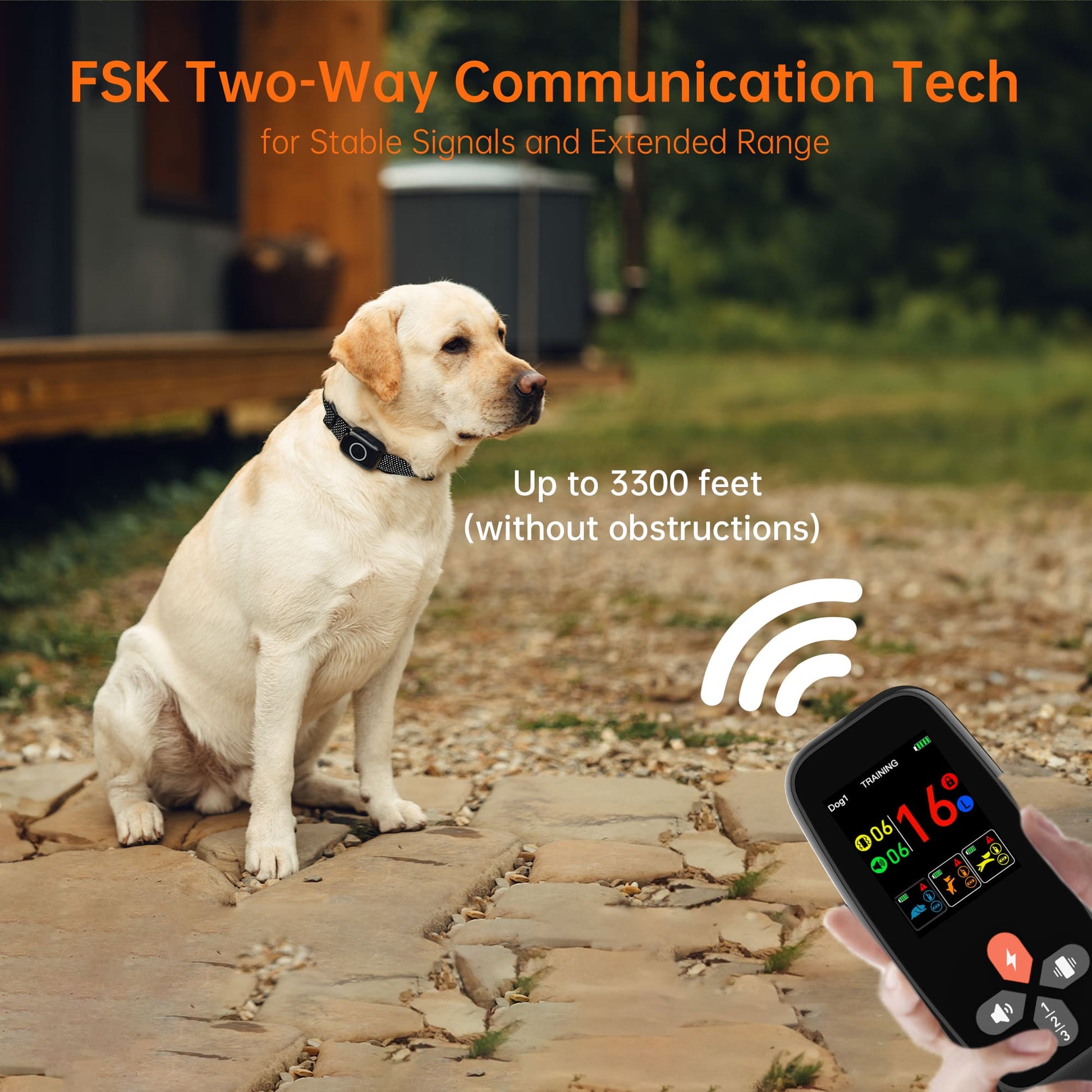 T800Plus 4-in-1 Remote Dog Training Collar