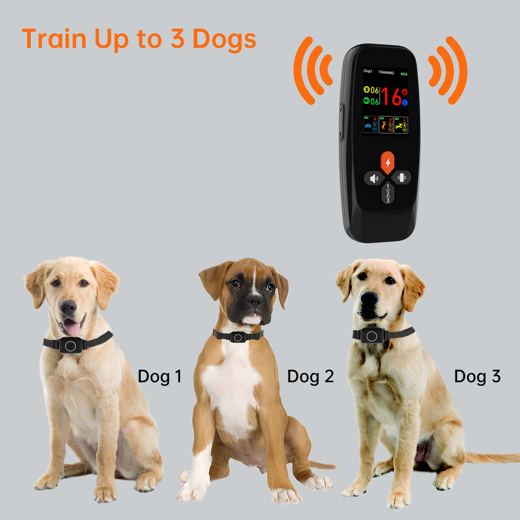 T800Plus 4-in-1 Remote Dog Training Collar