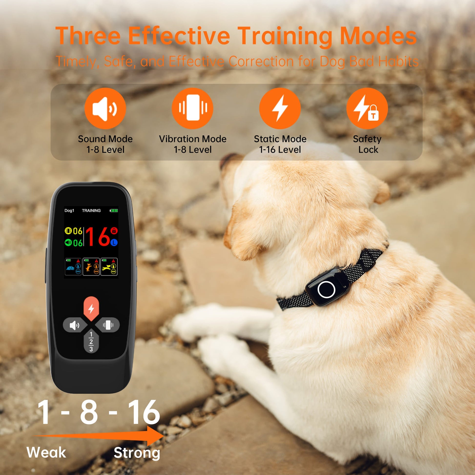 T800Plus 4-in-1 Remote Dog Training Collar