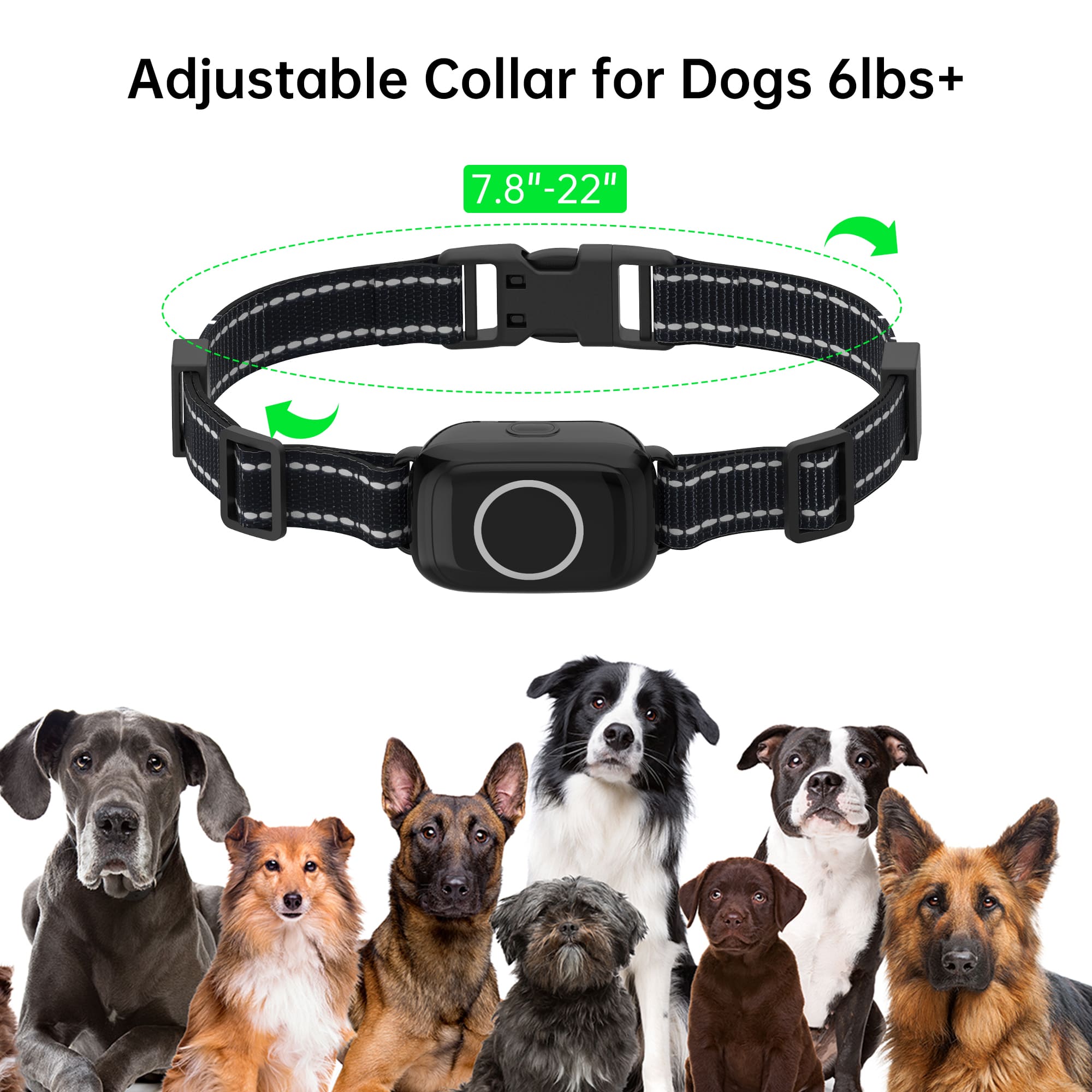 Adjustable Collar for Dogs 6lbs+
