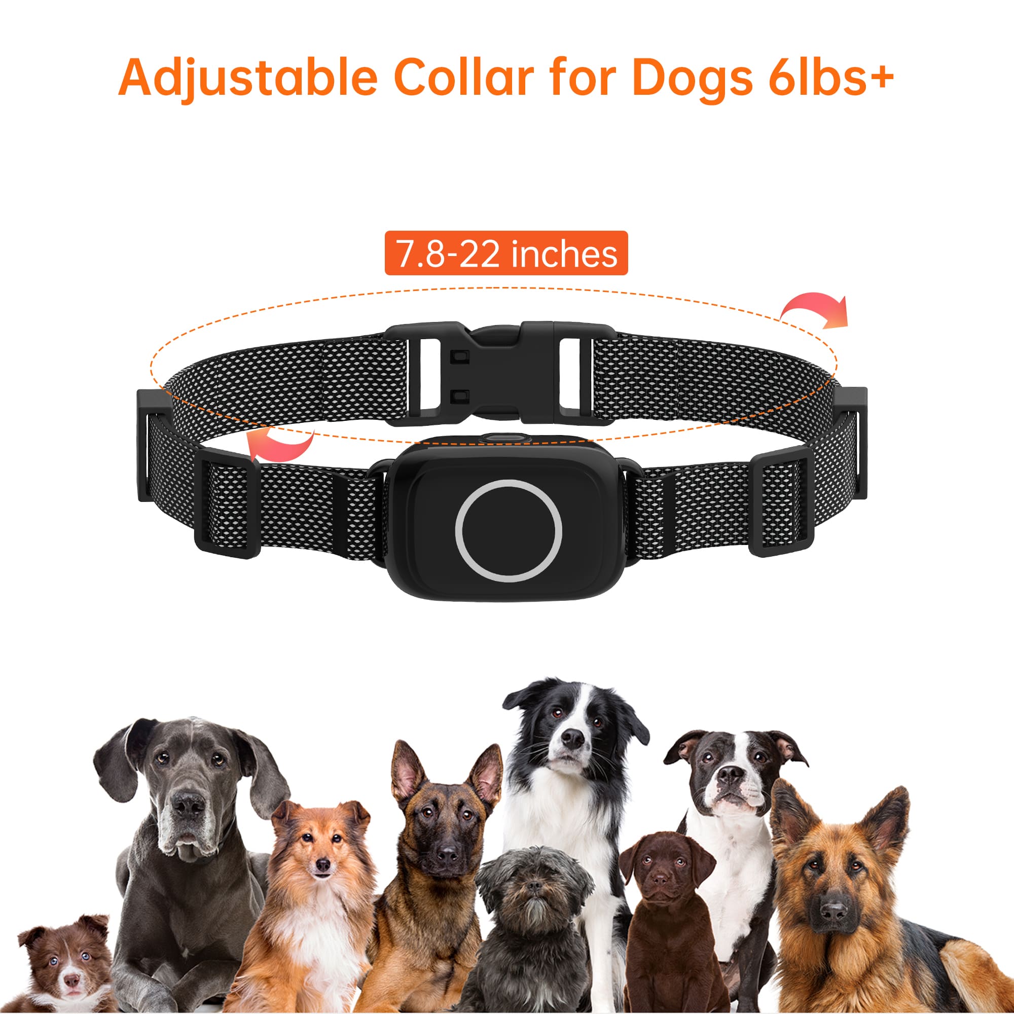 Adjustable Collar for Dogs 6lbs+